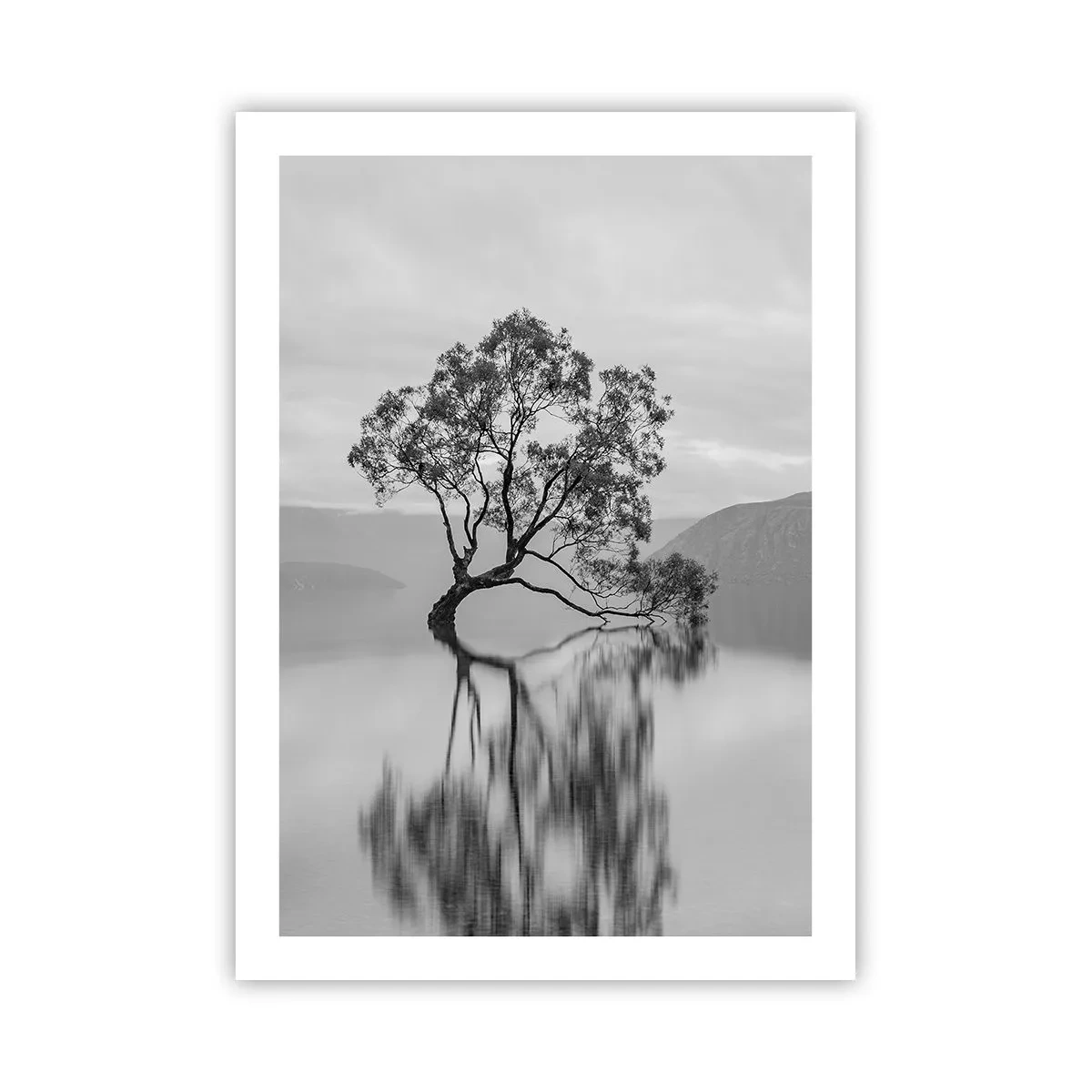 Poster - Ein einsamer Baum spiegelt sich im ruhigen Wasser - 50x70cm - Es gibt so ein Land - Moderne Wanddekoration für Wohnzimmer und Schlafzimmer ARTTOR