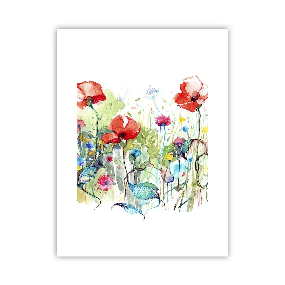 Poster - Blühende Maiwiese - 30x40 cm