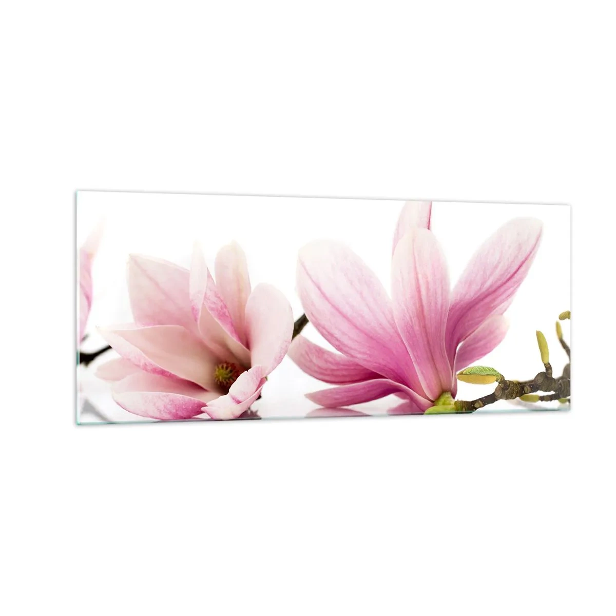 Glasbild - Bild auf glas - Zart wie ein Frühlingswind - 100x40 cm