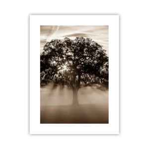 Poster - Baum der guten Nachrichten  - 30x40 cm