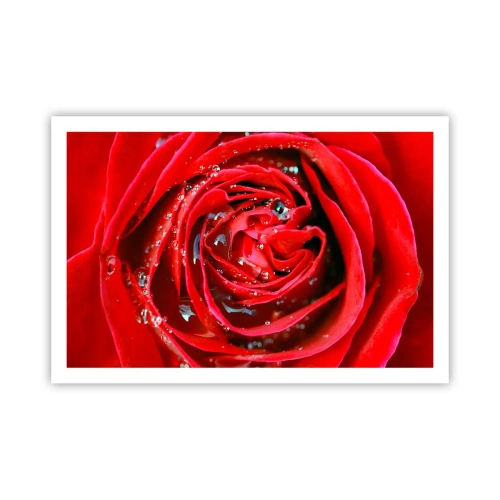 Poster - In den Tautropfen - 91x61 cm