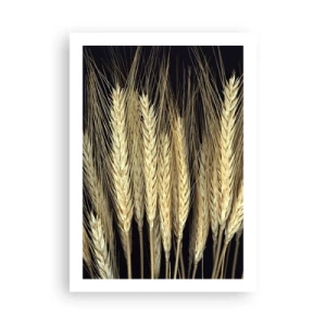 Poster - Nahaufnahme von Weizenähren vor schwarzem Hintergrund - 50x70cm - Rustikale Magie - Moderne Wanddekoration für Wohnzimmer und Schlafzimmer ARTTOR