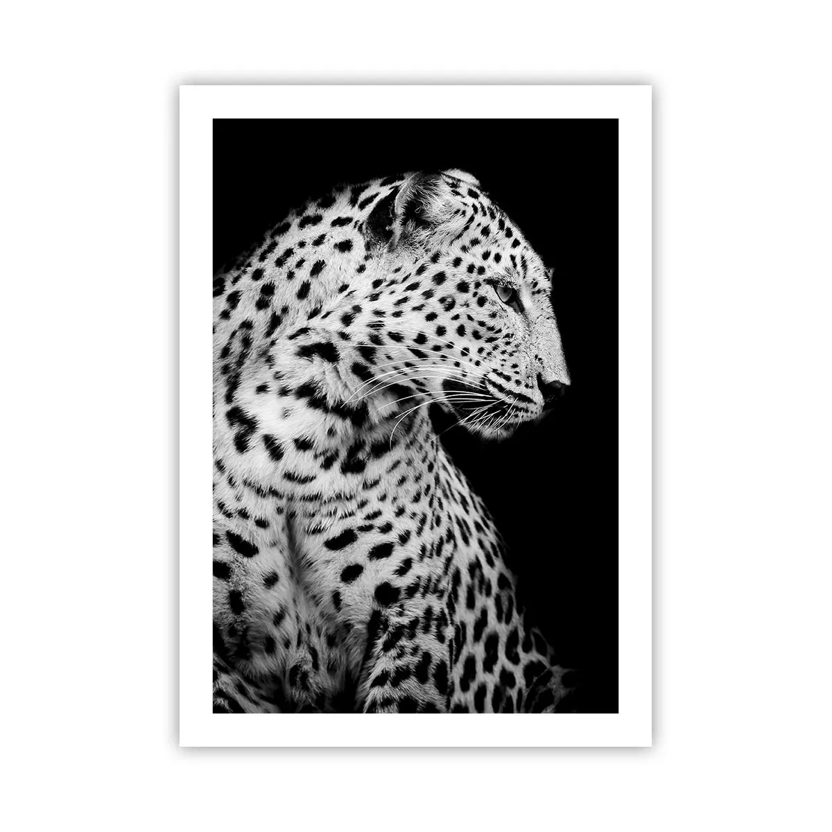 Poster - Schwarz-Weiß-Porträt eines Leoparden auf schwarzem Hintergrund - 50x70cm - Rechtes Profil perfekt! - Moderne Wanddekoration für Wohnzimmer und Schlafzimmer ARTTOR