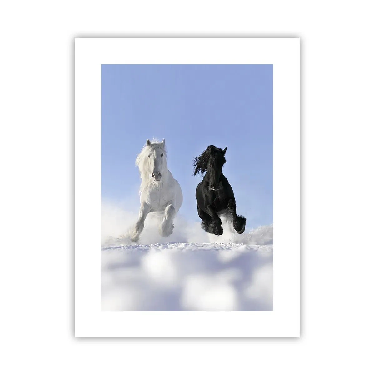 Poster - Schwarz-Weiß-Galopp - 30x40 cm