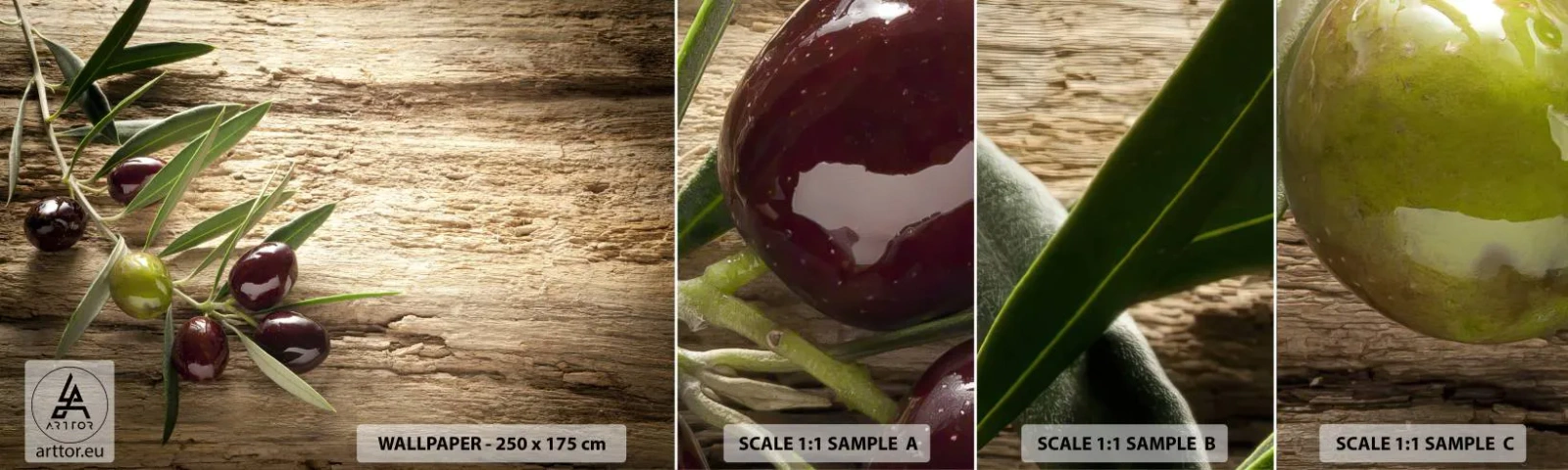 Fototapetenmuster Standard Eco - Direkt aus der Natur - Ölzweig, Natur, Oliven - 100x30 cm