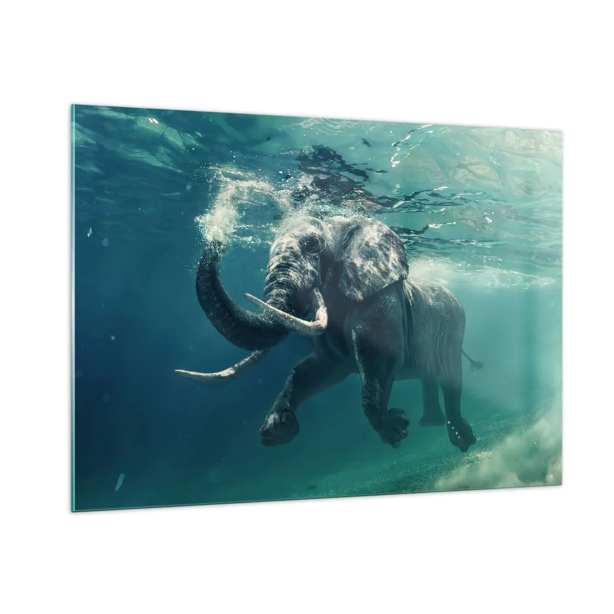 Glasbild - Bild auf glas - Ein Elefant, der unter Wasser im blauen Ozean schwimmt - 100x70cm - Jeder schwimmt gerne - Moderne Wanddekoration für Wohnzimmer und Schlafzimmer ARTTOR