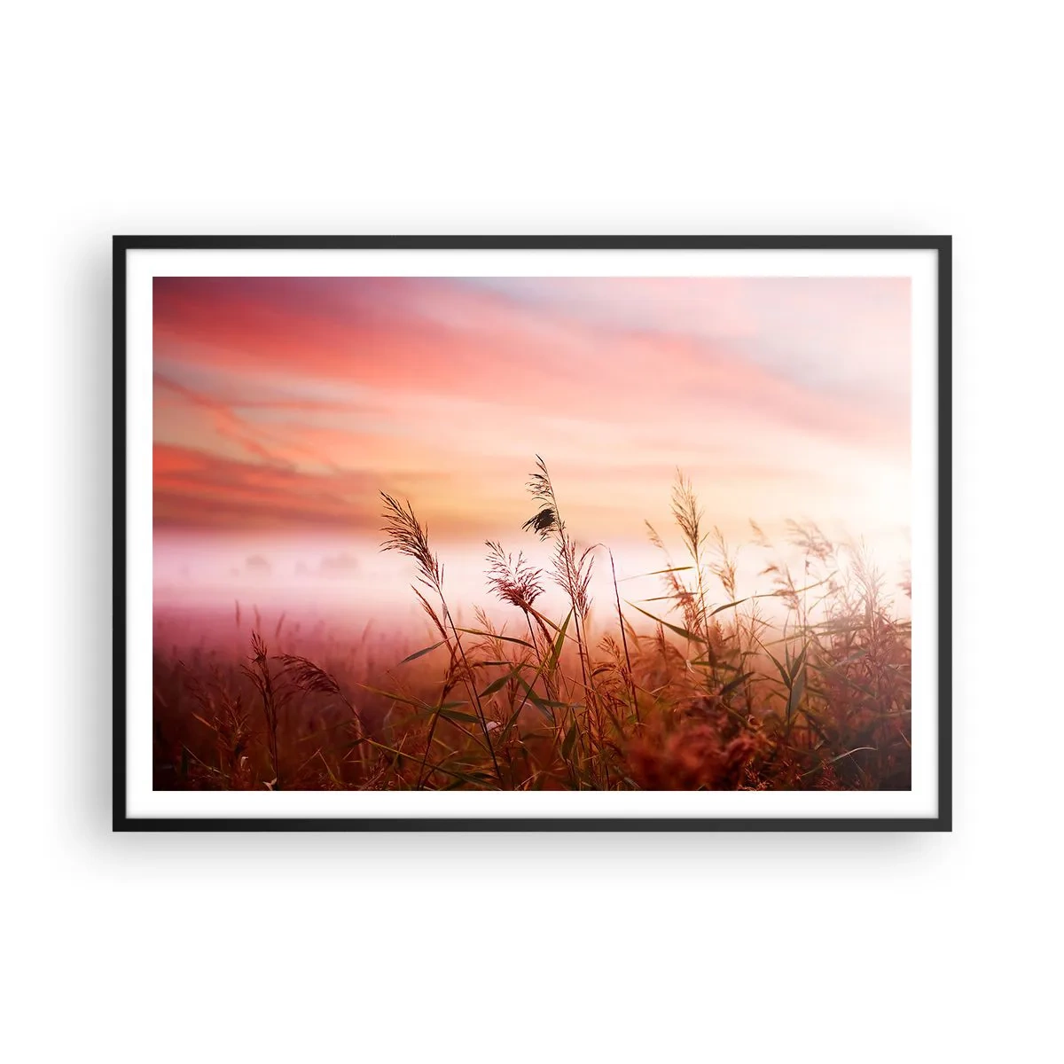 Poster in einem schwarzem Rahmen - Ein Grasfeld vor der Kulisse eines malerischen Sonnenuntergangs - 100x70cm - Drachen, Löwenzahn, Wind - Moderne Wanddekoration für Wohnzimmer und Schlafzimmer ARTTOR