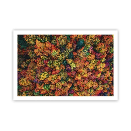 Poster - Blumenstrauß aus Herbstbäumen - 91x61 cm