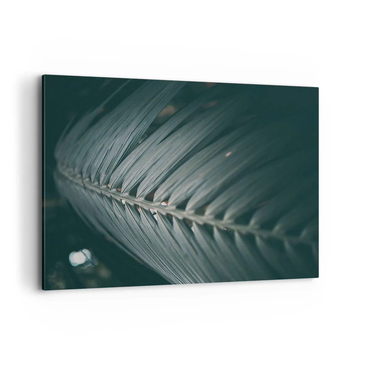 Bild auf Leinwand - Leinwandbild - Nahaufnahme eines dunkel getönten Palmblattdetails - 120x80cm - Die Präzision der Natur - Moderne Wanddekoration für Wohnzimmer und Schlafzimmer ARTTOR
