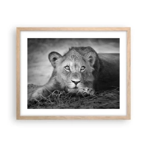 Poster in einem Rahmen aus heller Eiche - Königlicher Welpe - 50x40 cm