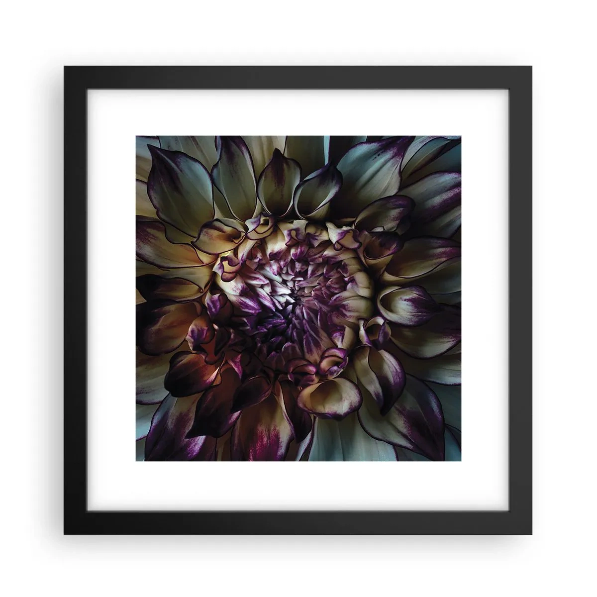 Poster in einem schwarzem Rahmen - Die Blütezeit der Jugend - 30x30 cm