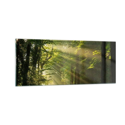 Glasbild - Bild auf glas - Waldmoment - 100x40 cm
