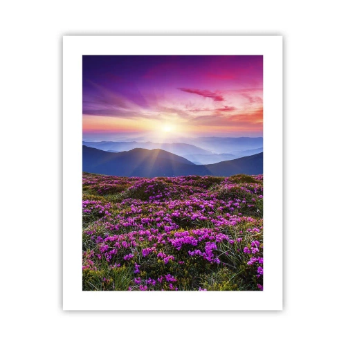 Poster - Kräuter dufteten nach frischen Trauben von den Feldern - 40x50 cm