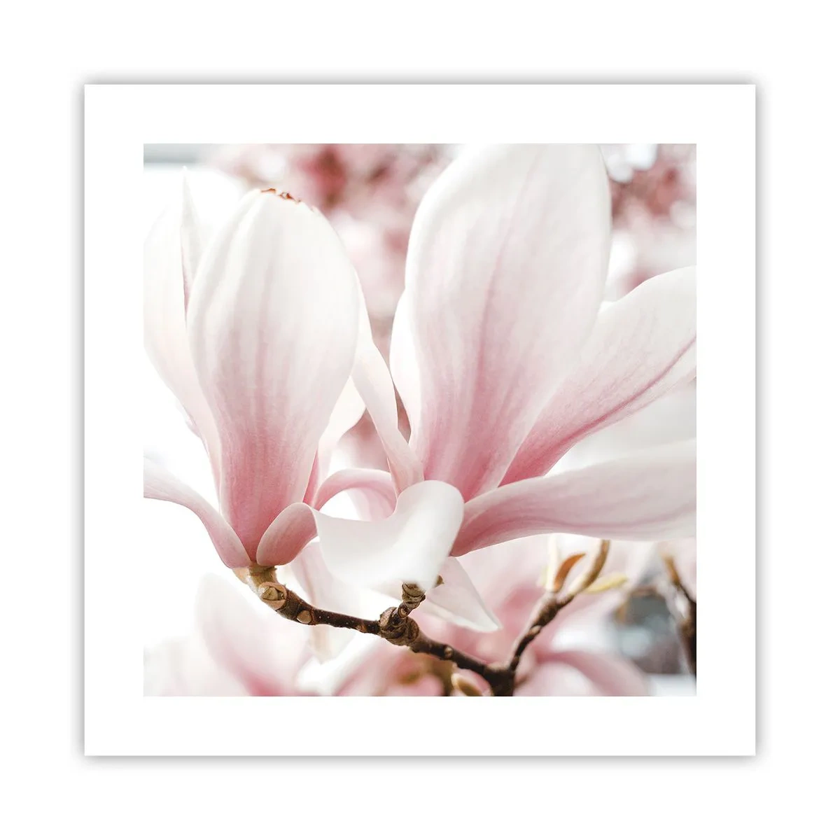 Poster - Eine Fülle von Zärtlichkeit - 40x40 cm