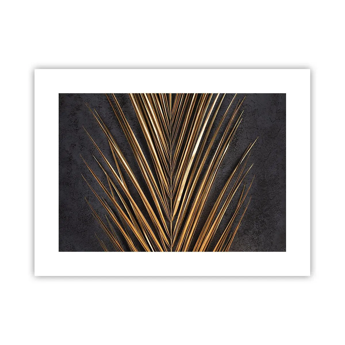 Poster - Das Gold der Tropen - 40x30 cm