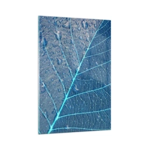 Glasbild - Bild auf glas - Ein Blatt in Blautönen mit Wassertropfen - 80x120cm - Leben in Blau - Moderne Wanddekoration für Wohnzimmer und Schlafzimmer ARTTOR