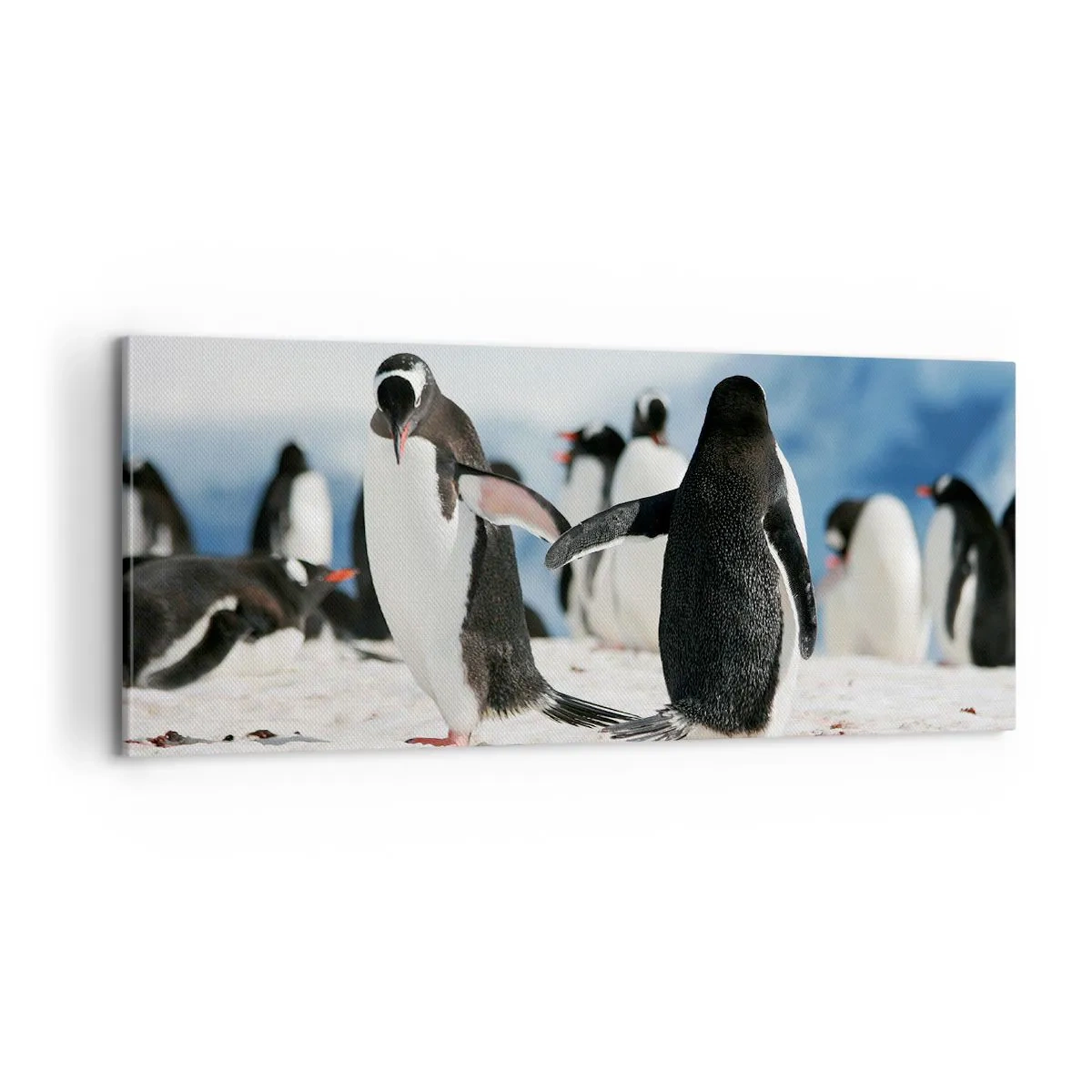 Bild auf Leinwand - Leinwandbild - Tanzen im Schnee - 100x40 cm