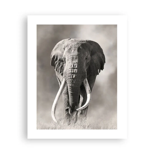 Poster - Afrikanischer Patriarch - 40x50 cm