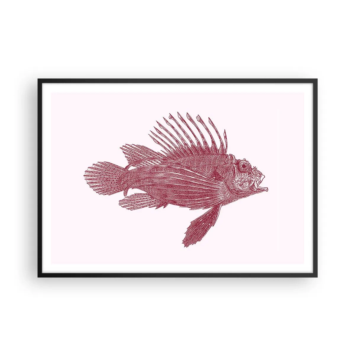 Poster in einem schwarzem Rahmen - Zeichnung eines Fisches in einem roten Farbton - 100x70cm - Bewohner exotischer Gewässer - Moderne Wanddekoration für Wohnzimmer und Schlafzimmer ARTTOR