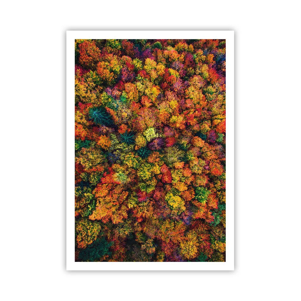 Poster - Blumenstrauß aus Herbstbäumen - 70x100 cm