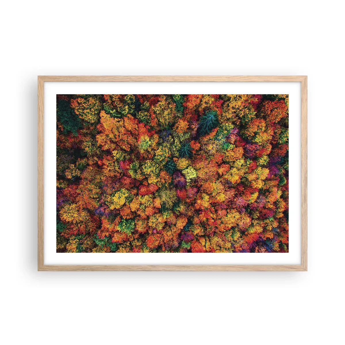 Poster in einem Rahmen aus heller Eiche - Blumenstrauß aus Herbstbäumen - 70x50 cm