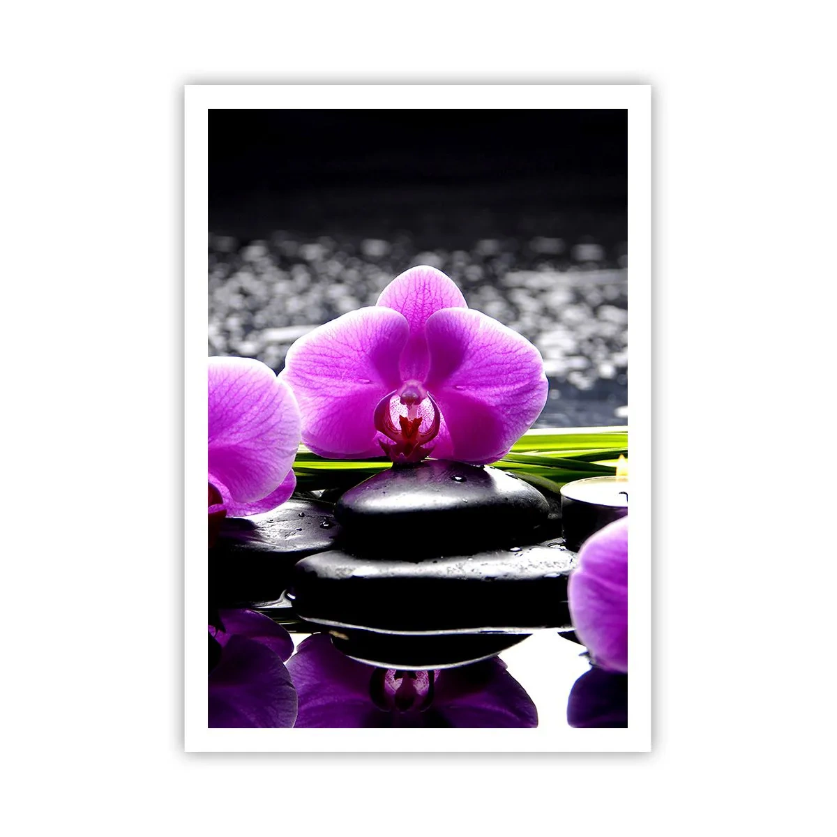 Poster - In Ruhe ertrinken - 70x100 cm