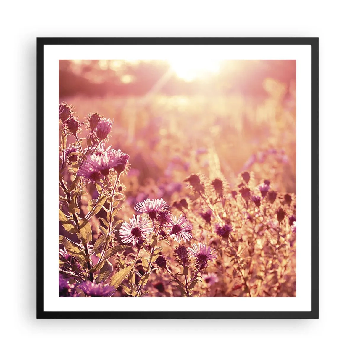 Poster in einem schwarzem Rahmen - Bevor der Sommer vorbei ist - 60x60 cm