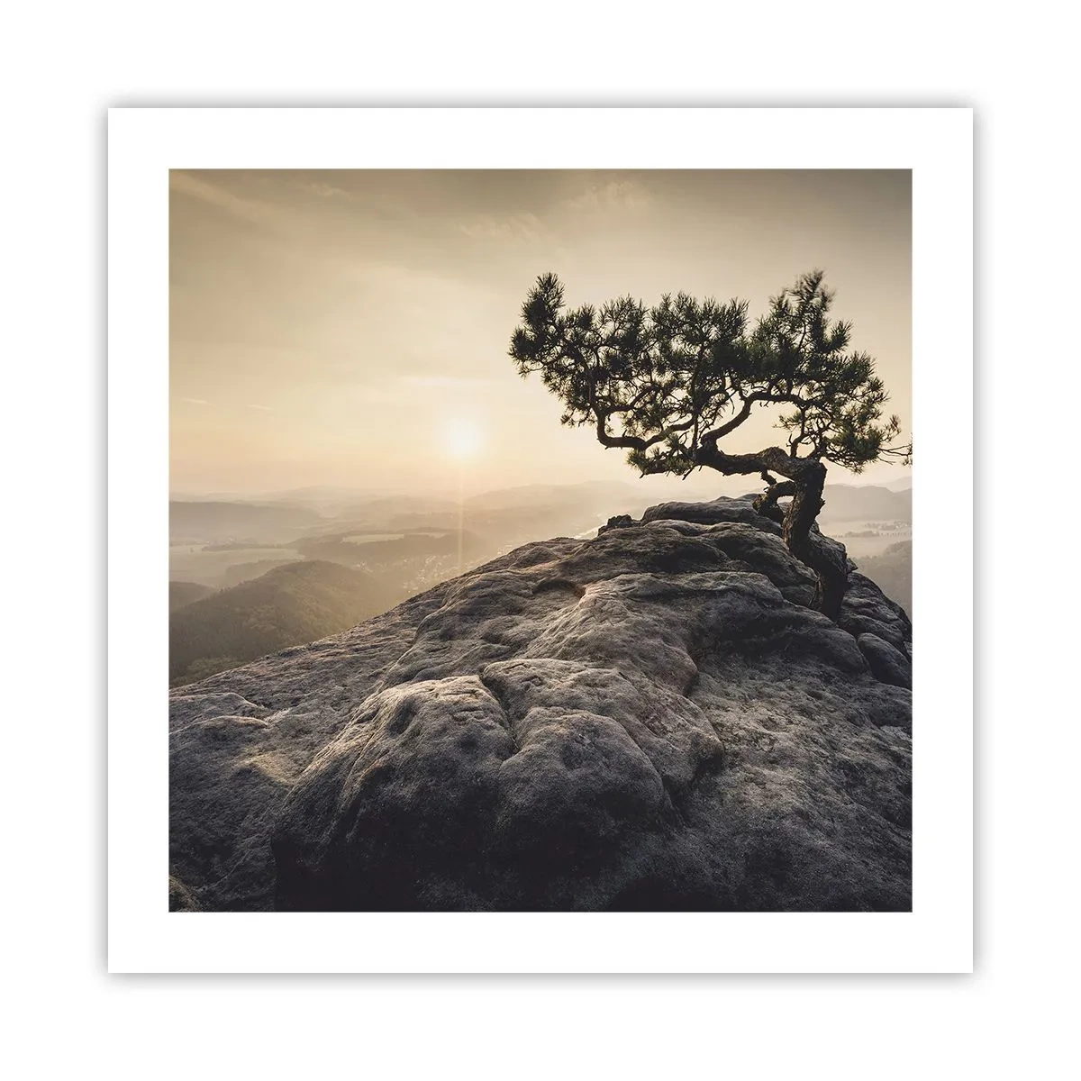 Poster - Das Leben gewinnt immer - 50x50 cm