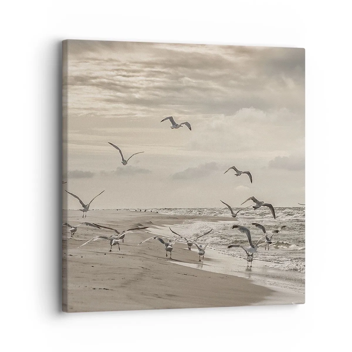 Bild auf Leinwand - Leinwandbild - Meeresrauschen, Vogelgesang - 30x30 cm