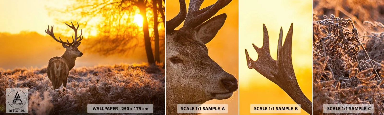 Fototapetenmuster Standard Eco - König des Herbstwaldes - Landschaft, Reh, Natur - 100x30 cm