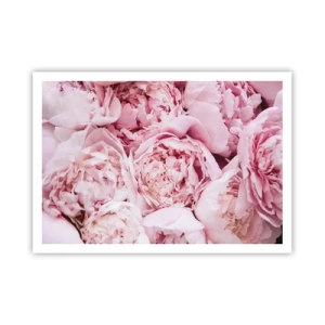 Poster - Eine Nahaufnahme eines Straußes rosa Pfingstrosen - 100x70cm - Anschmiegsam und duftend - Moderne Wanddekoration für Wohnzimmer und Schlafzimmer ARTTOR