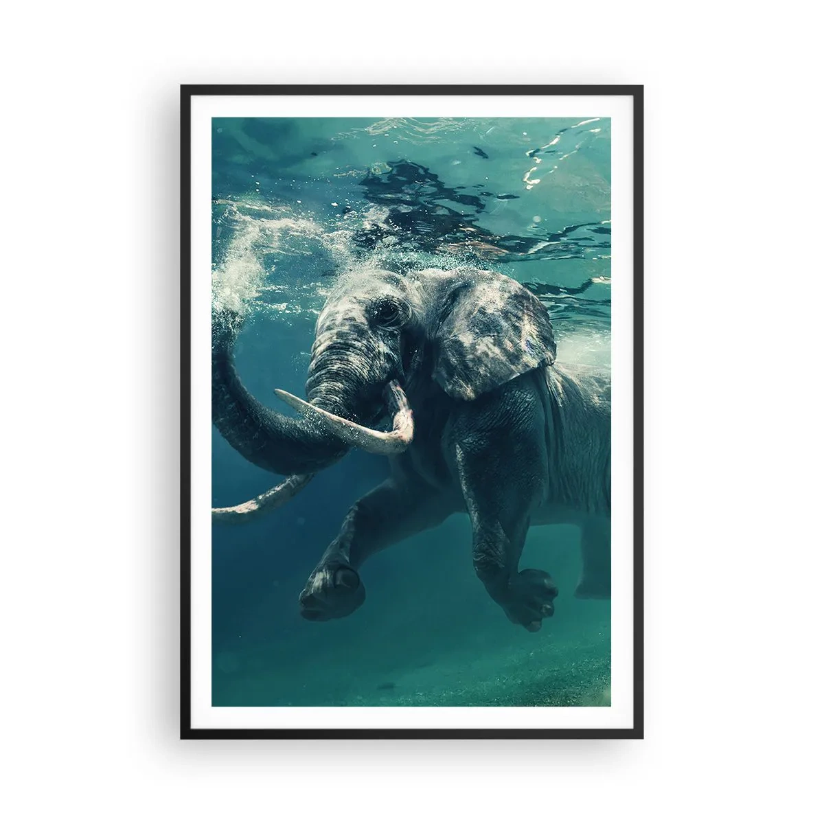 Poster in einem schwarzem Rahmen - Jeder schwimmt gerne - 70x100 cm
