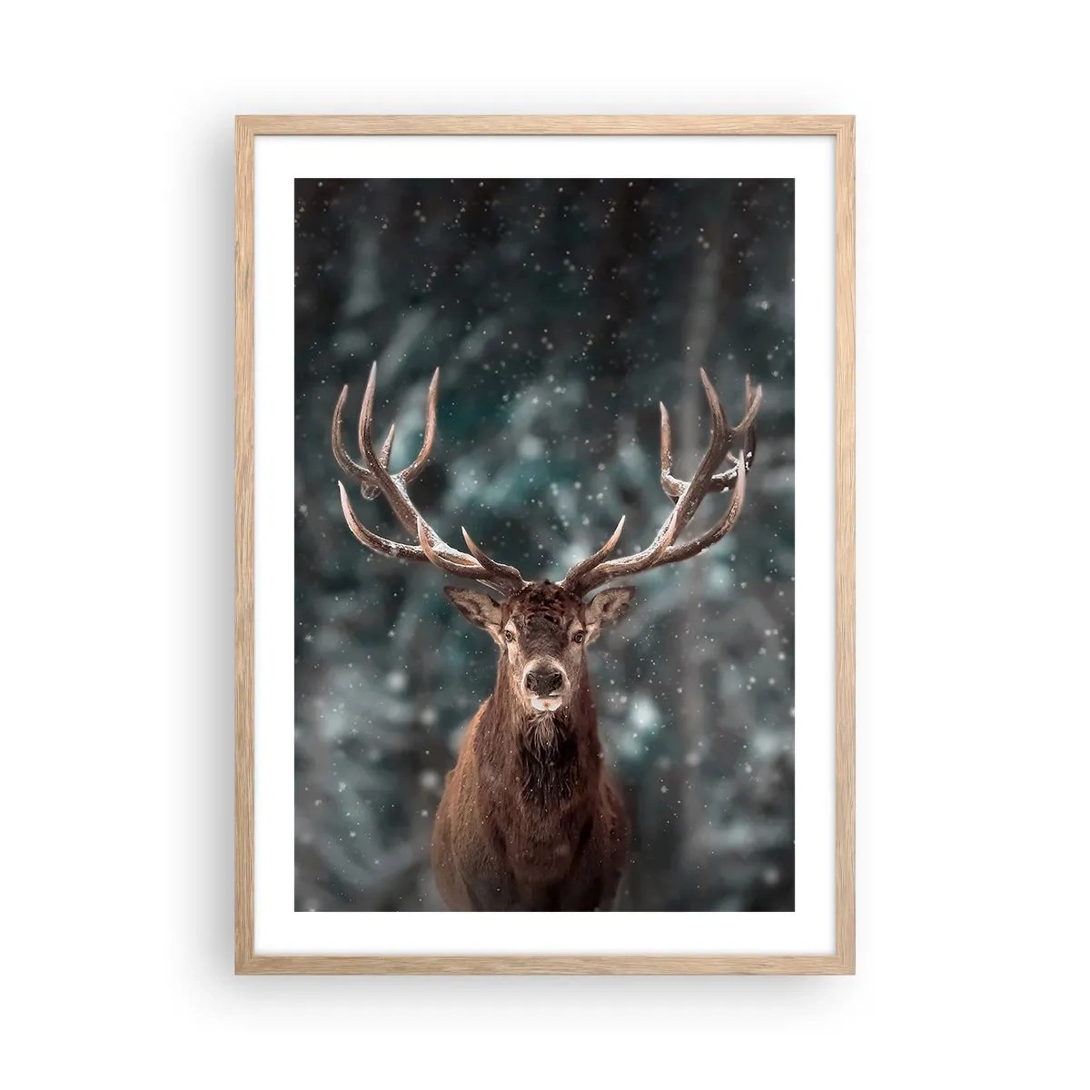 Poster in einem Rahmen aus heller Eiche - Gekrönter König des Waldes - 50x70 cm