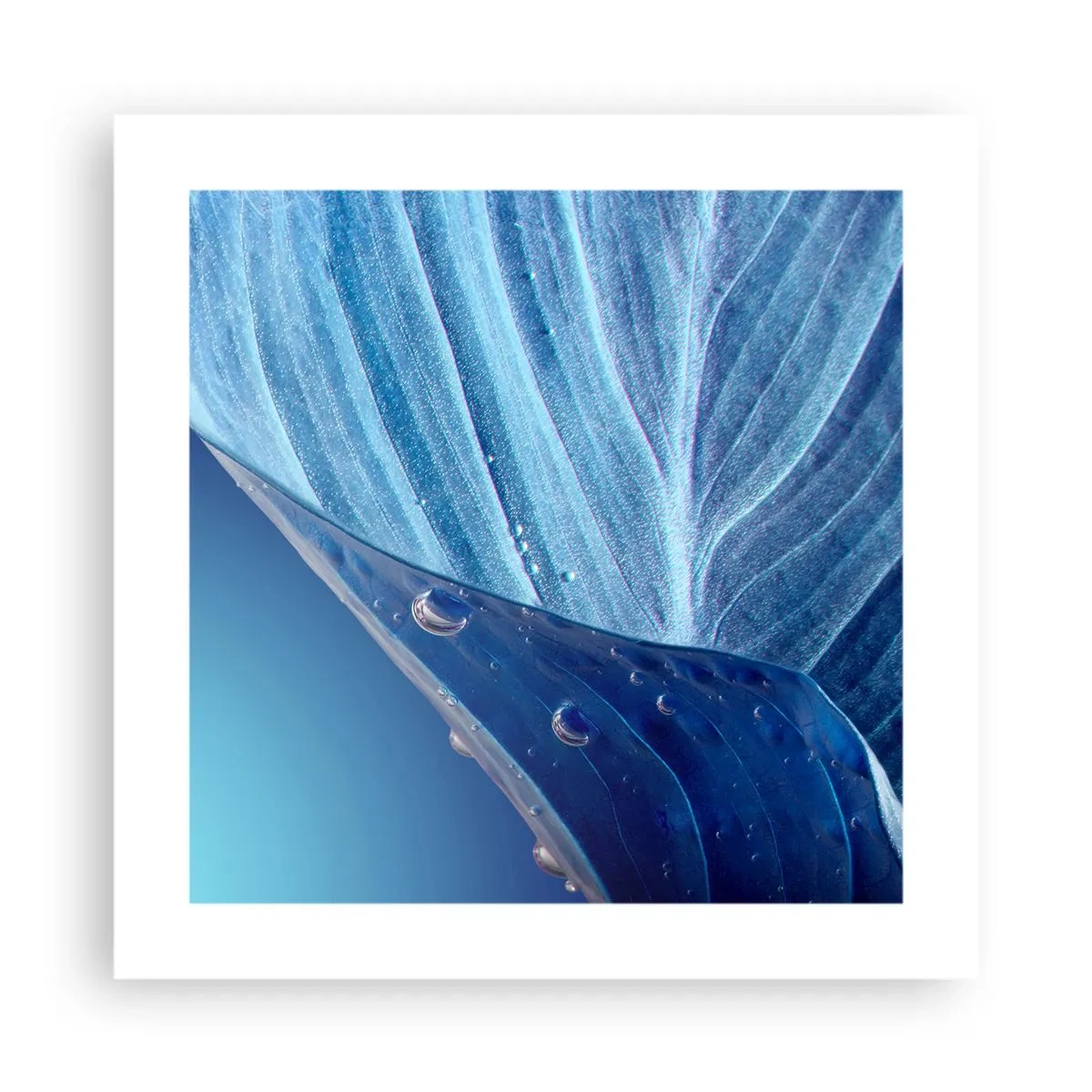 Poster - Versteckte Tropfen vom Blau - 40x40 cm