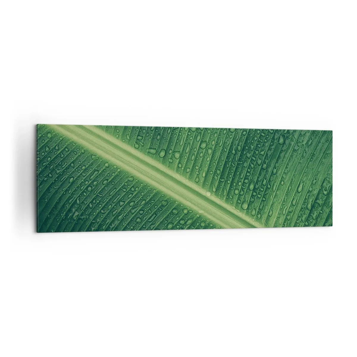 Bild auf Leinwand - Leinwandbild - Ein grünes Blatt mit Wassertropfen auf der Oberfläche - 160x50cm - Die Struktur des Grüns - Moderne Wanddekoration für Wohnzimmer und Schlafzimmer ARTTOR