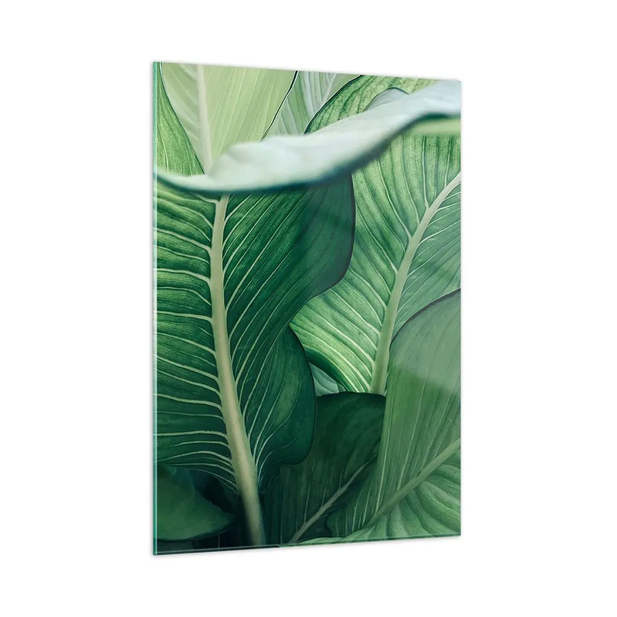 Glasbild - Bild auf glas - Üppige grüne Blätter in Nahaufnahme und natürlichem Licht - 50x70cm - Intensiv grünes Leben - Moderne Wanddekoration für Wohnzimmer und Schlafzimmer ARTTOR