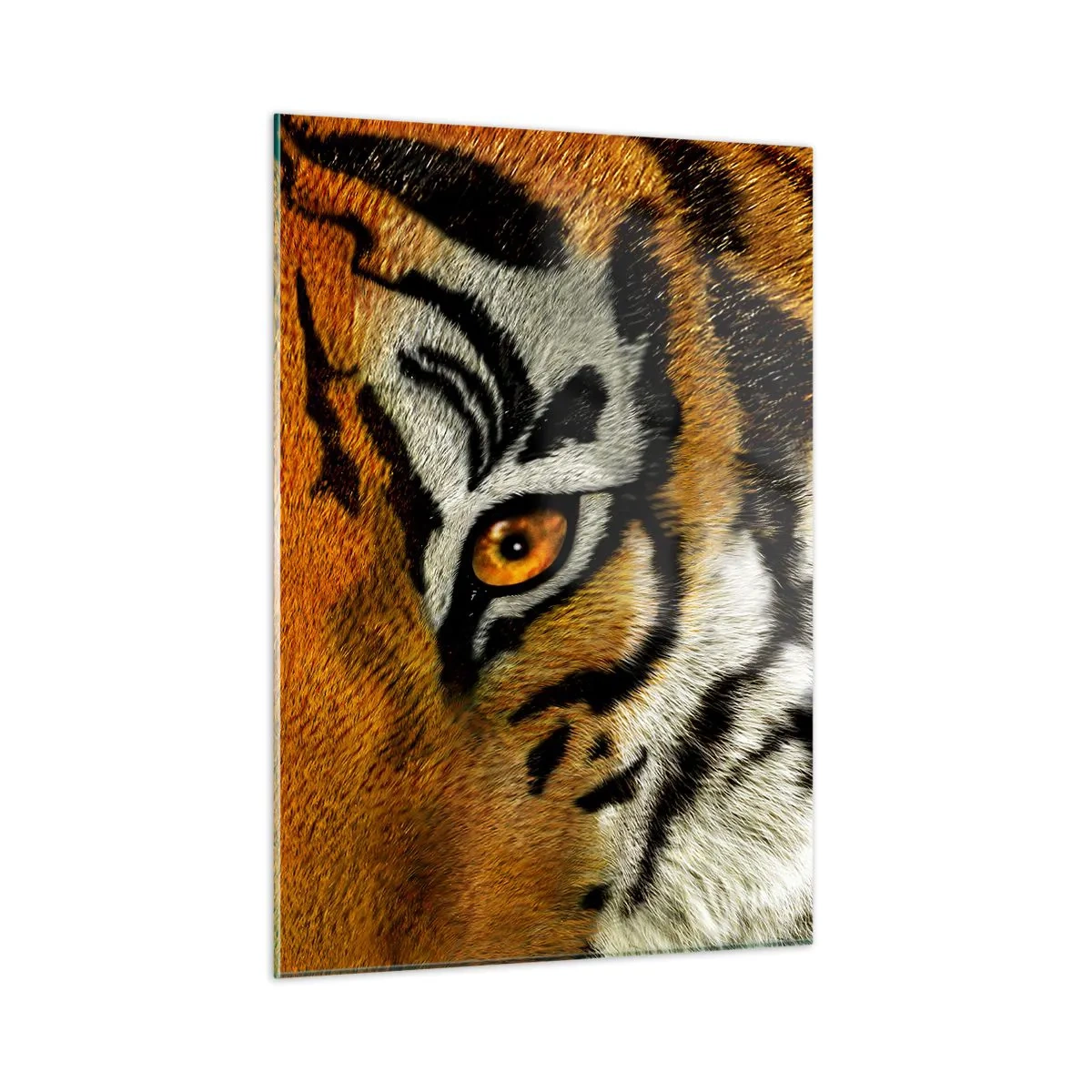 Glasbild - Bild auf glas - Nahaufnahme des intensiven Blicks des Tigers - 50x70cm - Schrecklich und schön - Moderne Wanddekoration für Wohnzimmer und Schlafzimmer ARTTOR