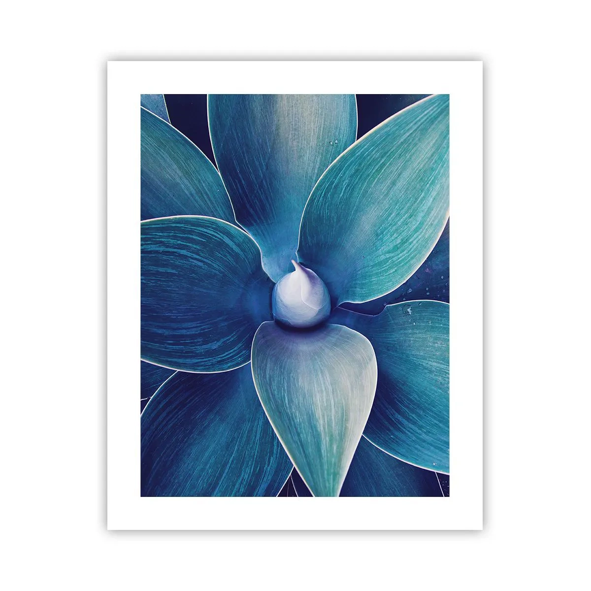 Poster - Bläulich vom Himmel - 40x50 cm
