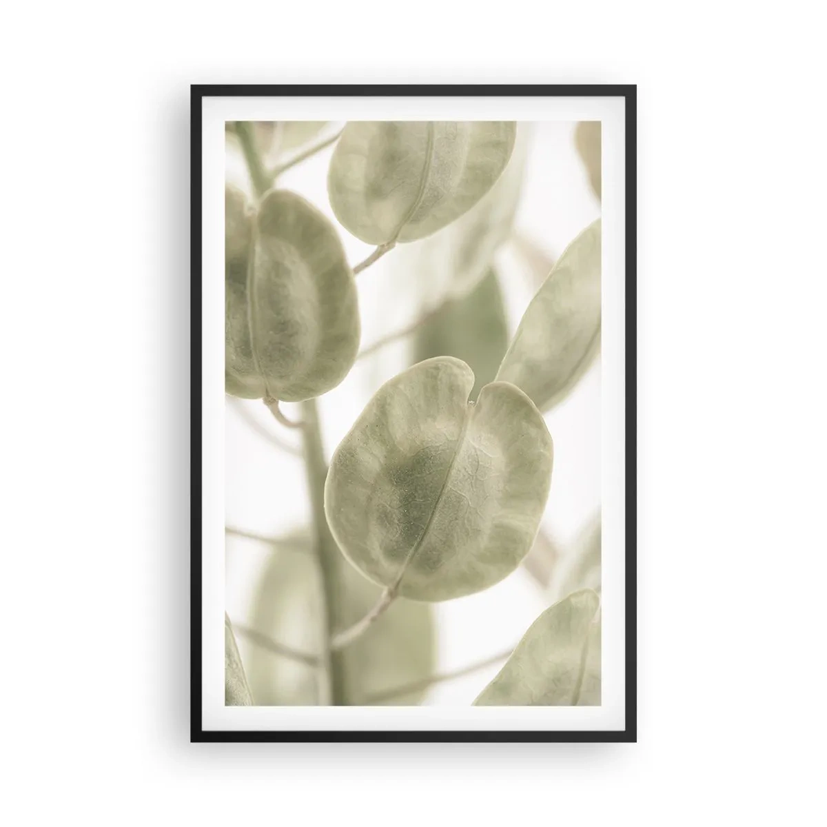 Poster in einem schwarzem Rahmen - Am Anfang waren Blätter... - 61x91 cm