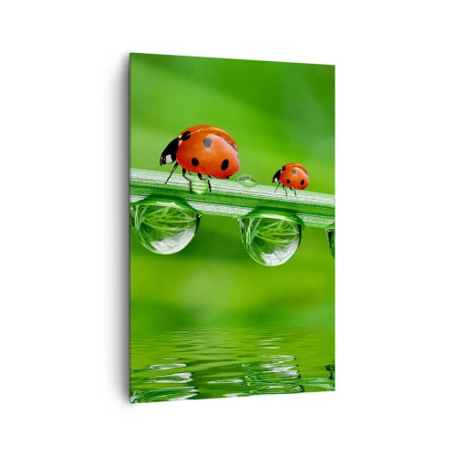 Bild auf Leinwand - Leinwandbild - Marienkäfer auf einem Grashalm mit Tautropfen in einer natürlichen Umgebung - 80x120cm - Den ganzen Sommer unterwegs - Moderne Wanddekoration für Wohnzimmer und Schlafzimmer ARTTOR