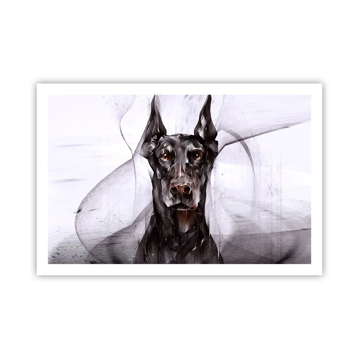 Poster - Edelgeboren - 91x61 cm