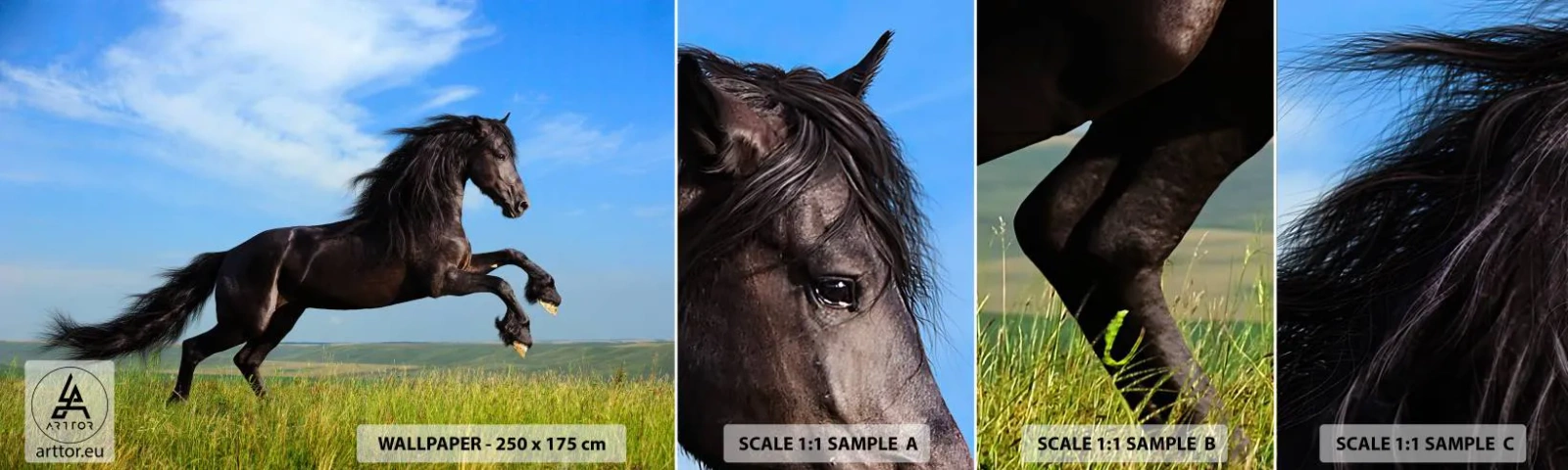 Fototapetenmuster Standard Eco - Ein spannendes Manifest der Freiheit - Tiere, Pferd, Landschaft - 100x30 cm