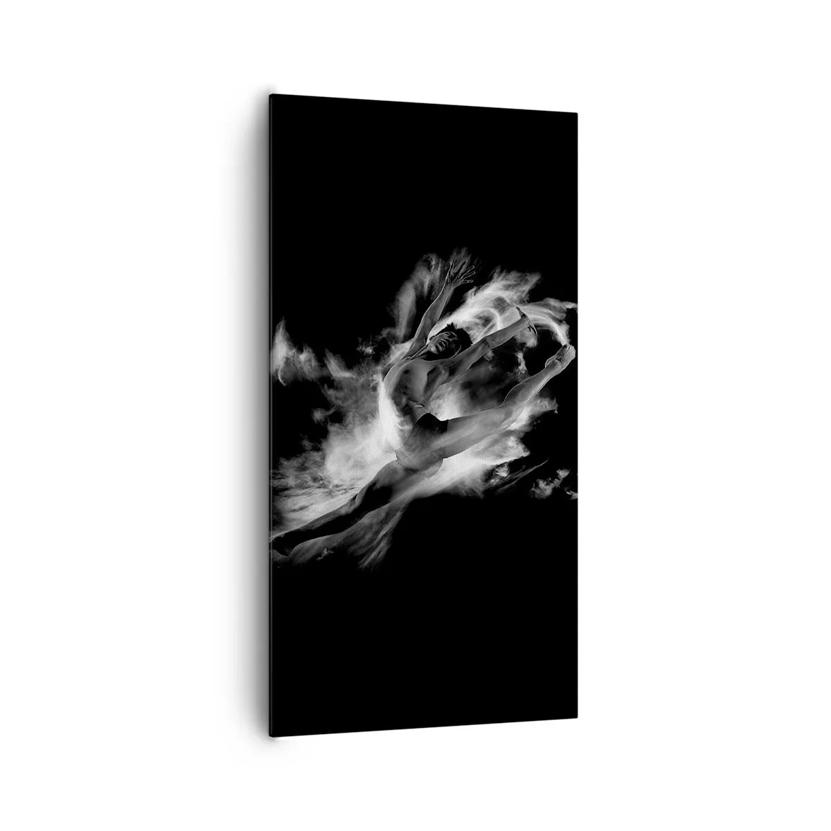 Bild auf Leinwand - Leinwandbild - Im Flug hängen geblieben - 65x120 cm