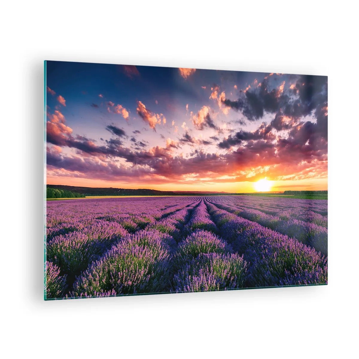 Glasbild - Bild auf glas - Ein Lavendelfeld bei Sonnenuntergang mit buntem Himmel und Wolken - 70x50cm - Lavendel Welt - Moderne Wanddekoration für Wohnzimmer und Schlafzimmer ARTTOR