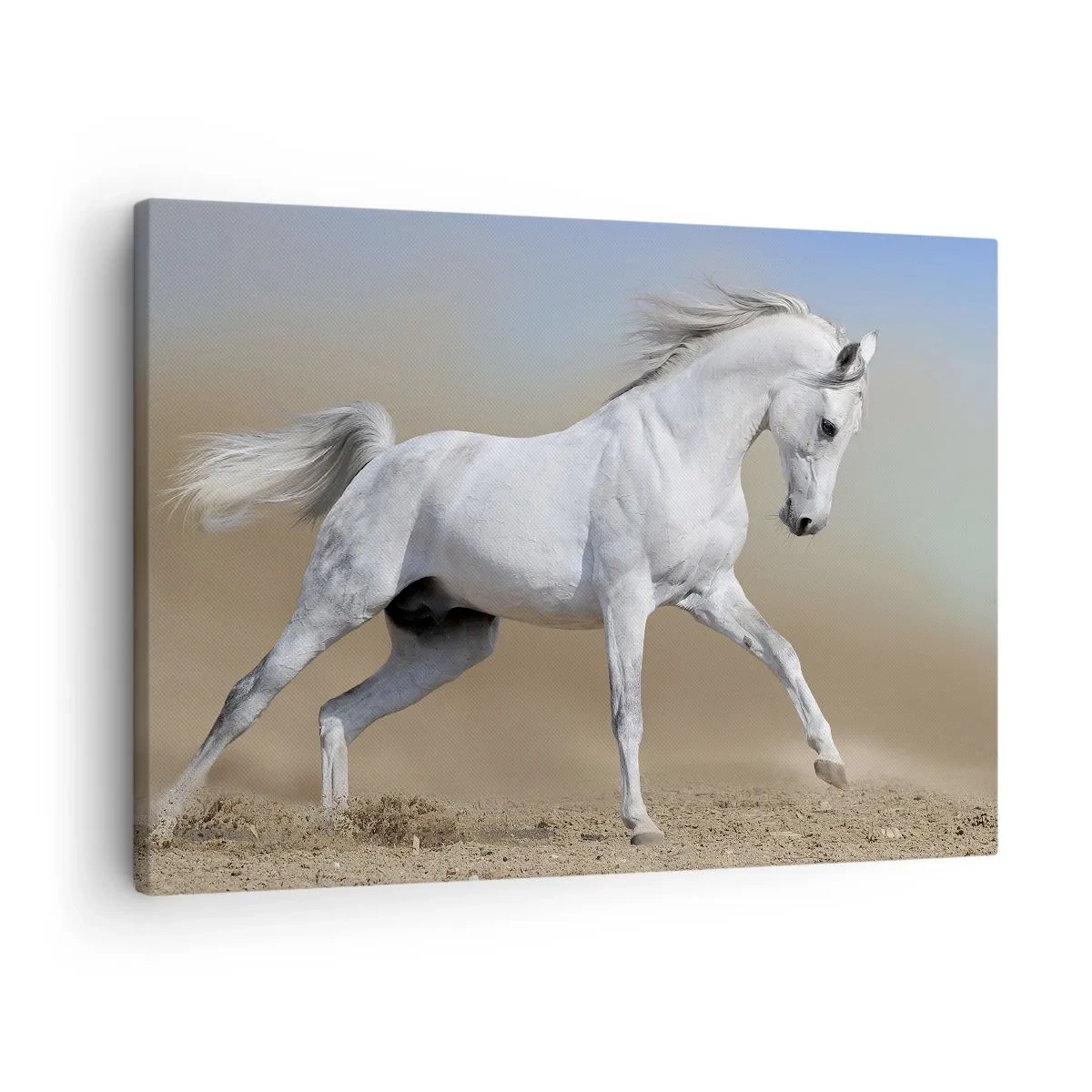 Bild auf Leinwand - Leinwandbild - Ein weißes Pferd galoppiert durch eine Wüstenlandschaft - 70x50cm - Die schönste arabische Sage - Moderne Wanddekoration für Wohnzimmer und Schlafzimmer ARTTOR