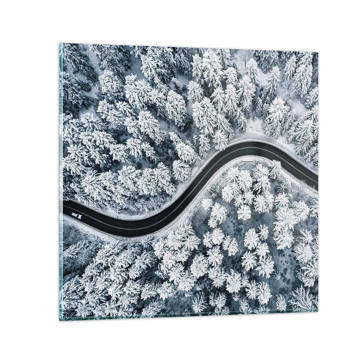 Glasbild - Bild auf glas - Durch den Winterwald - 60x60 cm