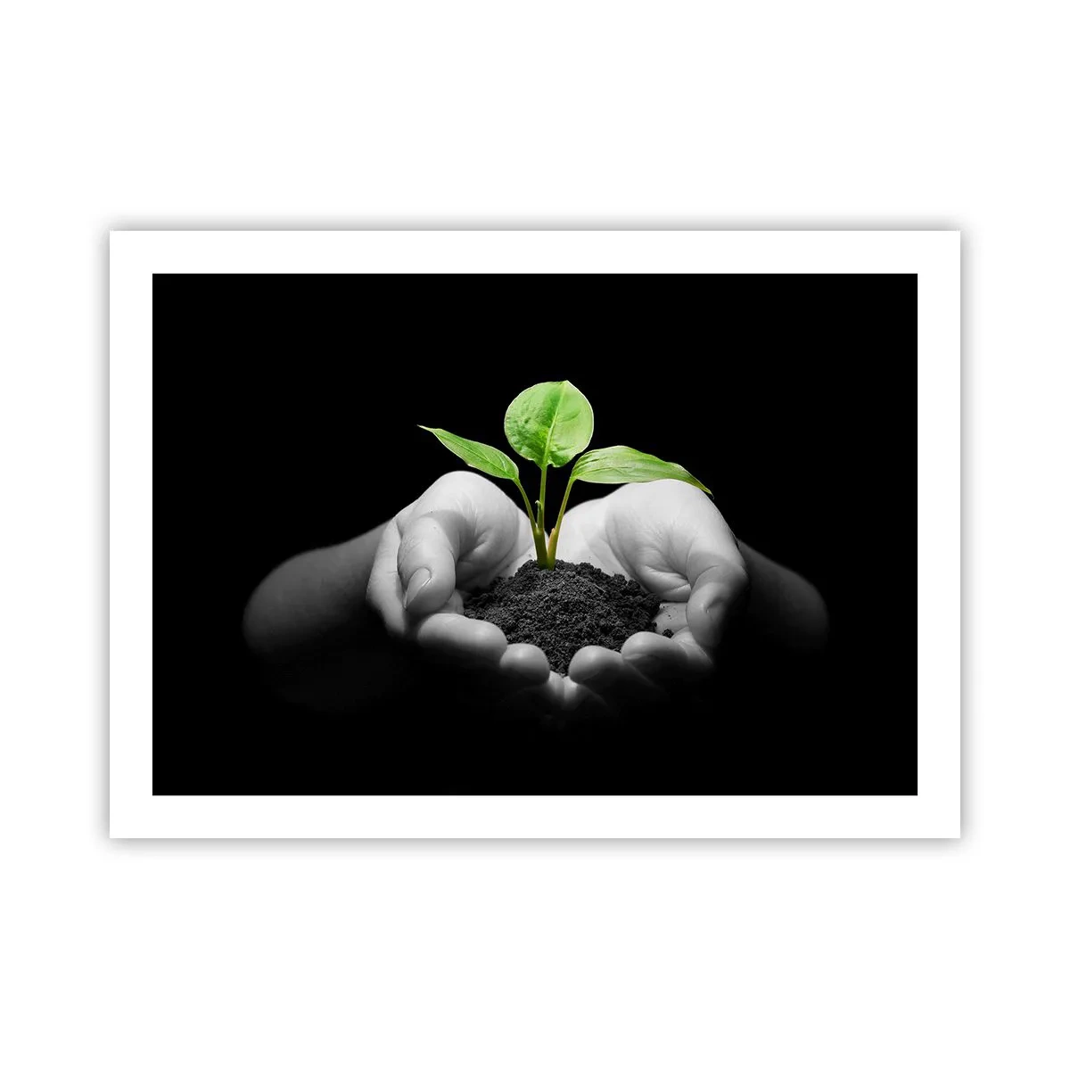 Poster - Ich liebe die Natur, ich beschütze sie - 70x50 cm