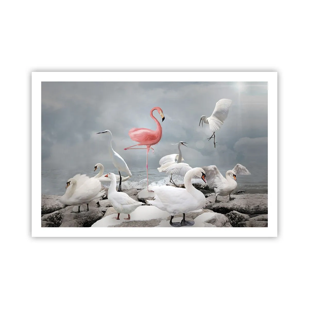 Poster - Wie kam ich hier hin? - 91x61 cm