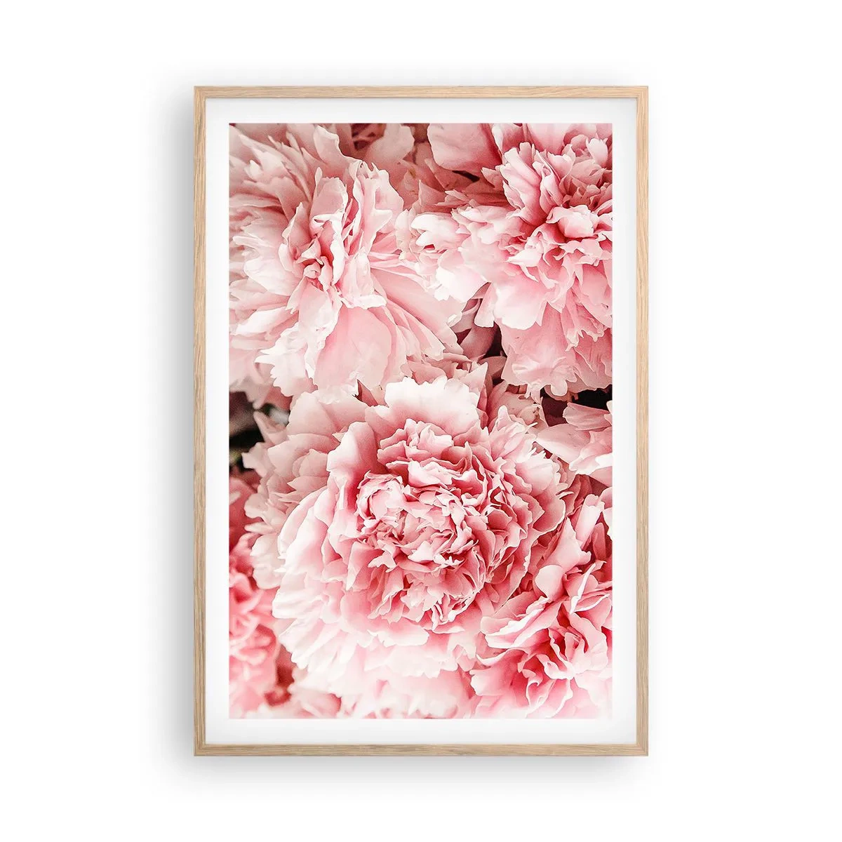 Poster in einem Rahmen aus heller Eiche - Rosa Traum - 61x91 cm