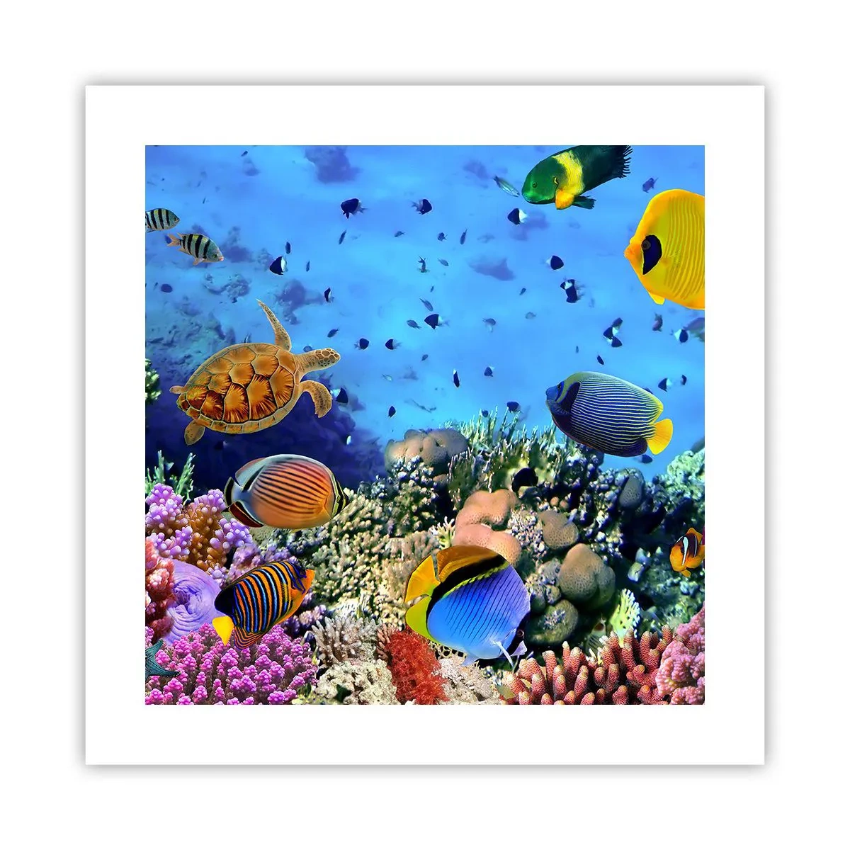 Poster - Und was wissen wir über das Leben ... - 40x40 cm